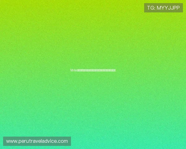 Mite娱乐版下载安装步骤详解，全面掌握世界杯赛事最新动态