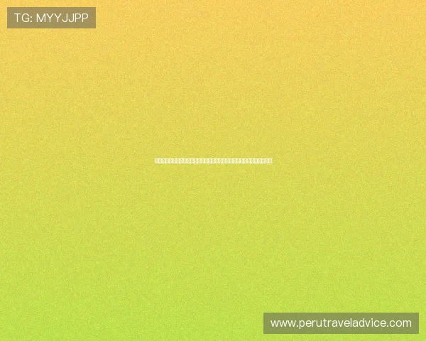 匠星娱乐旗下明星参与世界杯相关综艺节目，带来独家幕后花絮与精彩内容